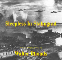 Link to Sleepless in Stalingrad